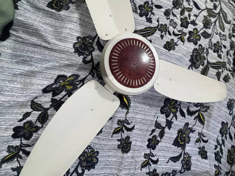 Wind fans 2