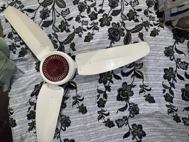 Wind fans 3