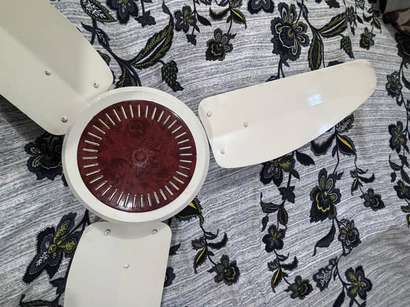 Wind fans 4