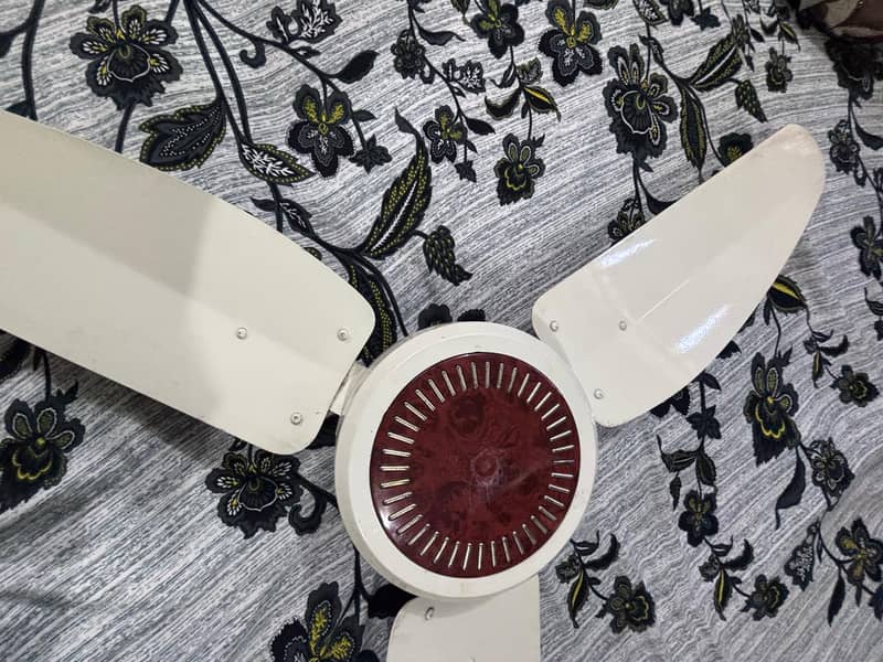 Wind fans 5