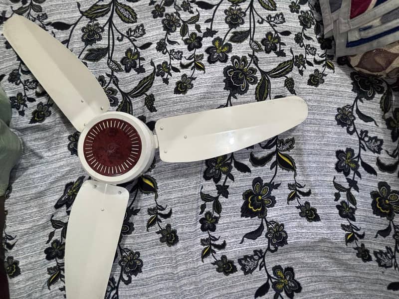 Wind fans 6