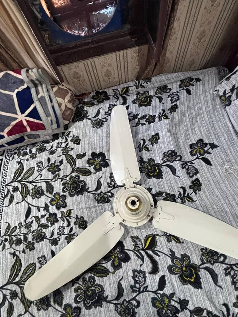 Wind fans 7