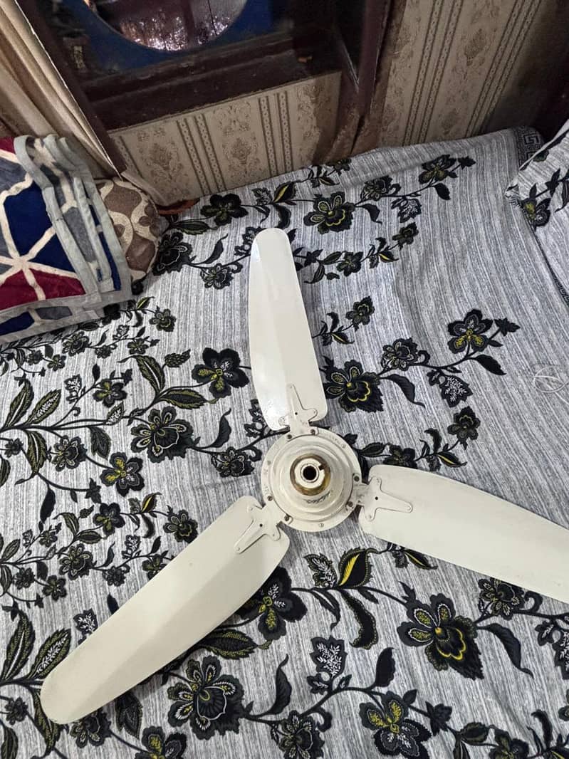 Wind fans 8