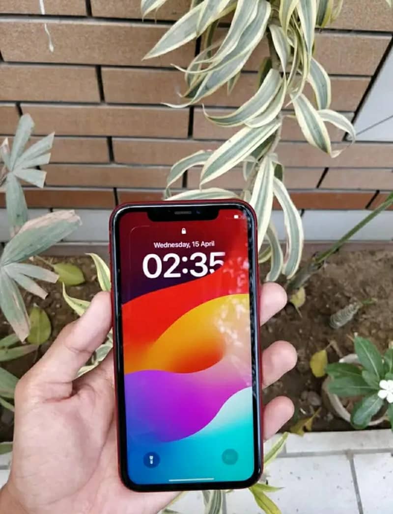 IPHONE XR 1