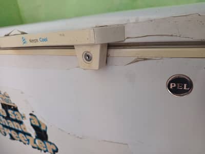 PEL Deep Freezer