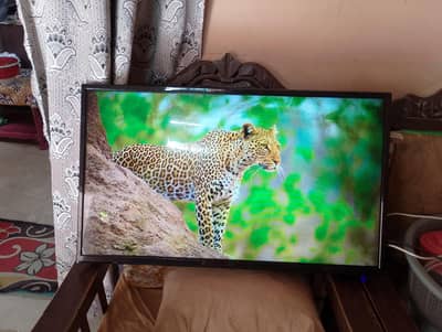 Smart LED Android LED Wifi and IPTV Netflix