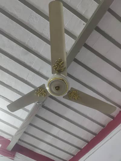 Royal fan for sale in lush condition