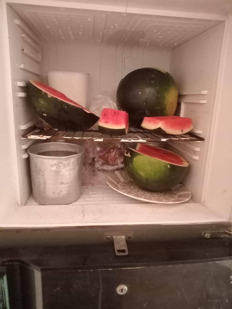 refrigerator orient 3