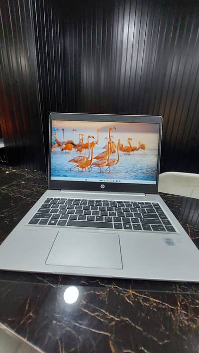 HP ProBook 440 G7 Business Laptop - i5 10th Generation (8GB/256GB SSD)