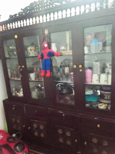 show case for sale