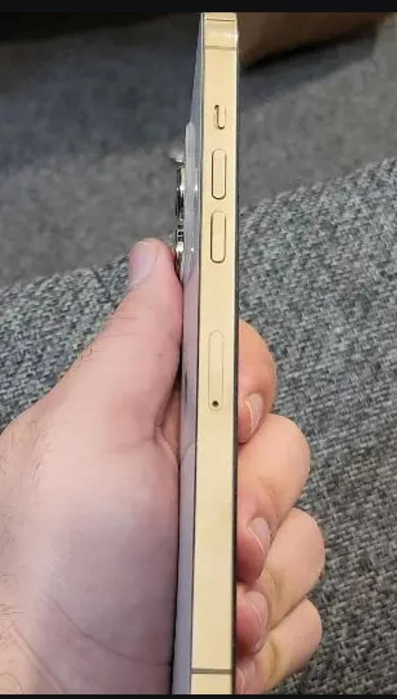 Iphone 12 Pro Max 1
