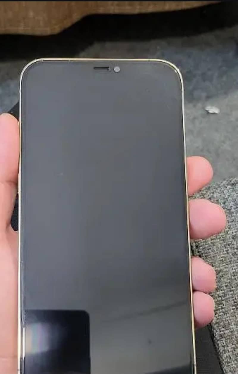 Iphone 12 Pro Max 3