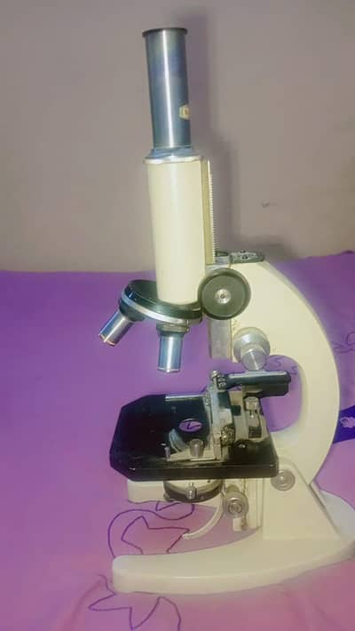 compound microscope
