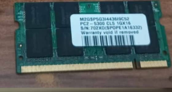 1gb ram (single piece)