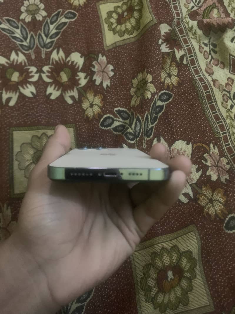 Iphone 13pro max 4