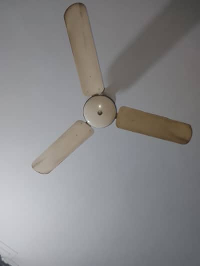 pak fan