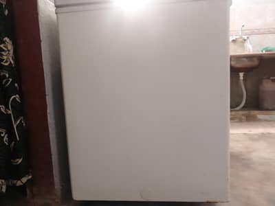 Double door D freezer