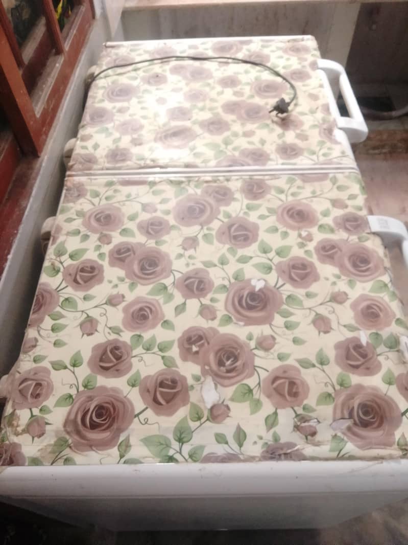 Double door D freezer 1