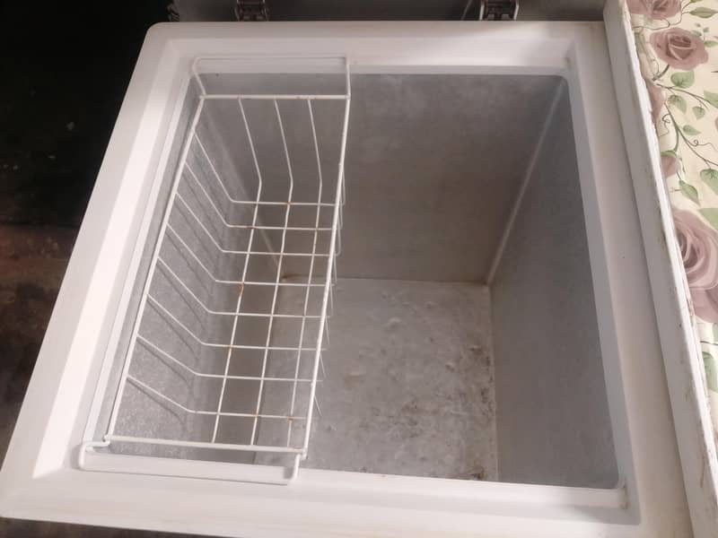 Double door D freezer 2