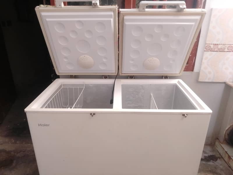 Double door D freezer 3