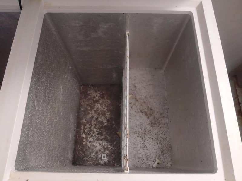 Double door D freezer 4