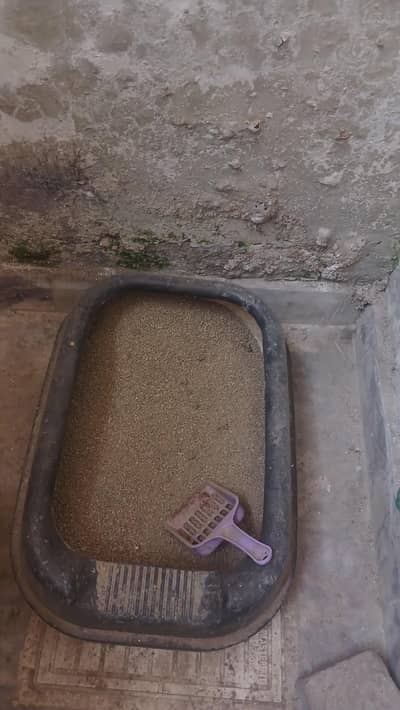 CAT ACCESSORIES PACKAGE