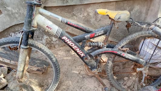 Bicycle is great