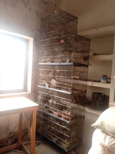 pets cages for sale