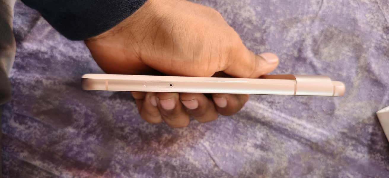 google pixel 8 0