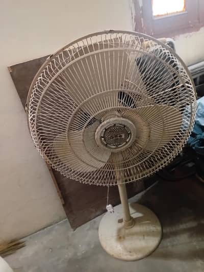 selling royal fan