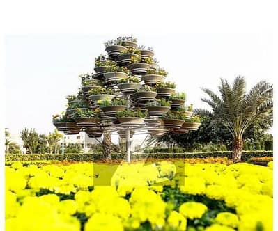 10 Marla Plot In Bahria Orchard | 60 Ft Road Facing | Top Location