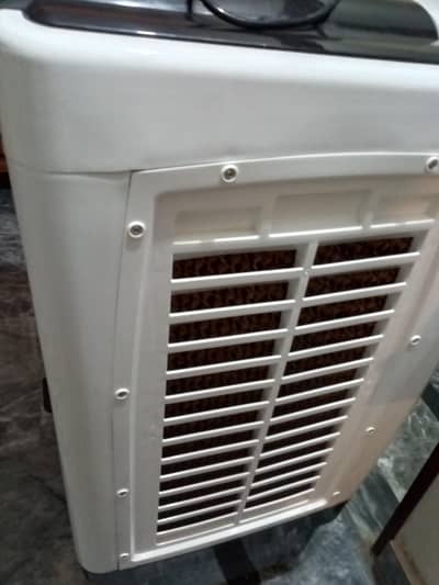 Air cooler