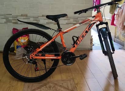 26 Inch bicycle Steel Body