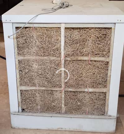 cooler cooling fast