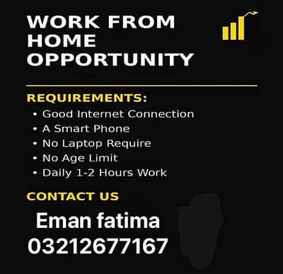 online work opportunity