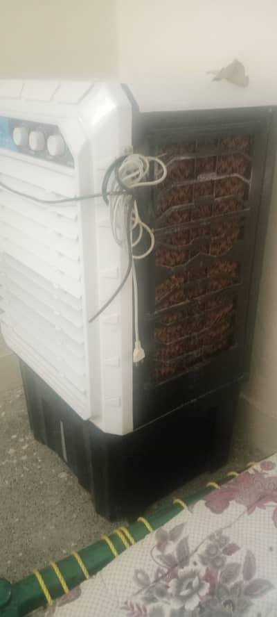AC DC electric cooler