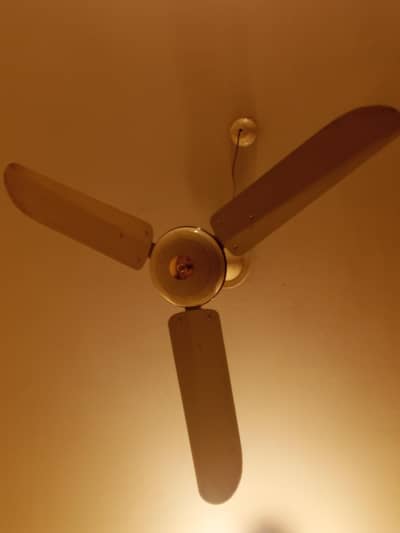 Fans ceiling