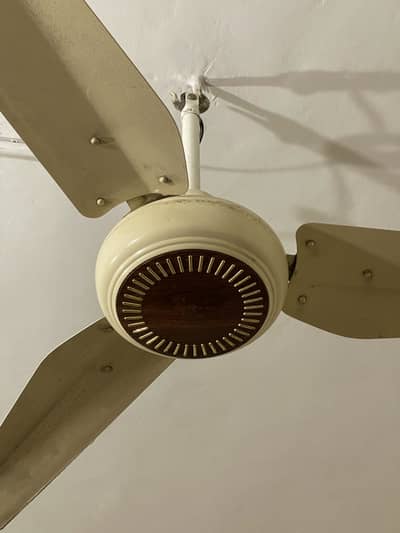 5 Ceiling fans for sale 56 inch