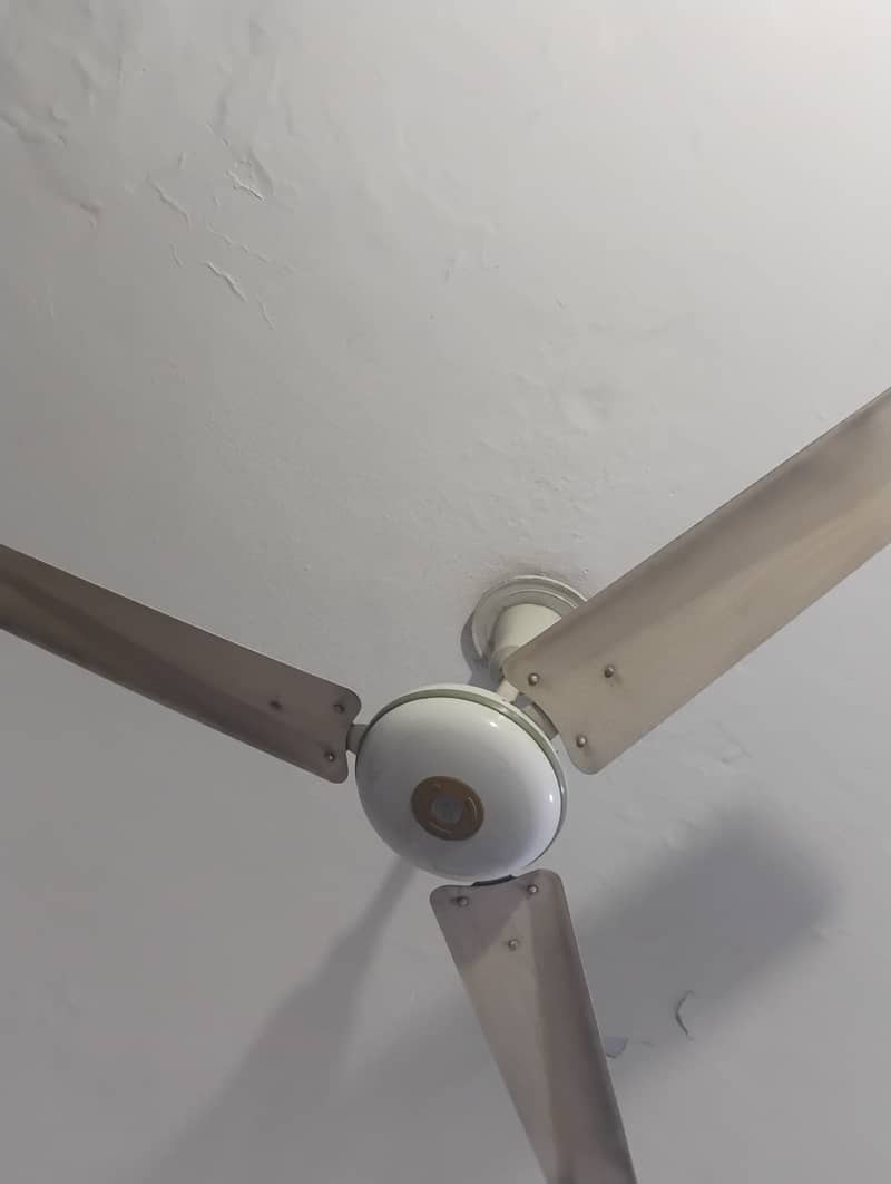 Ceiling fan 1