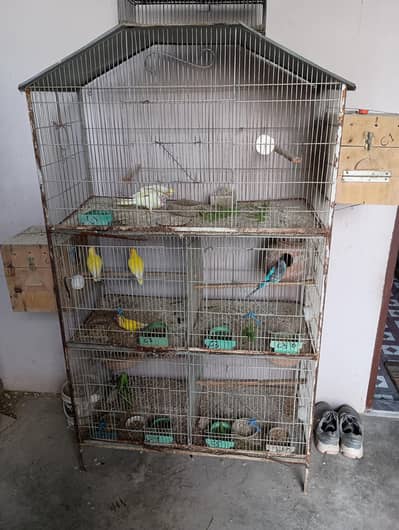cages for sale