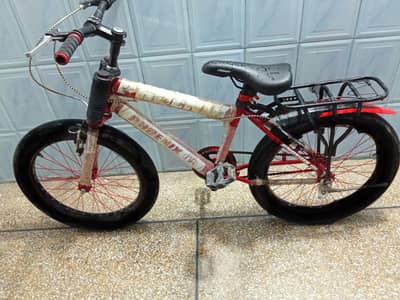 Phoneix Cycle