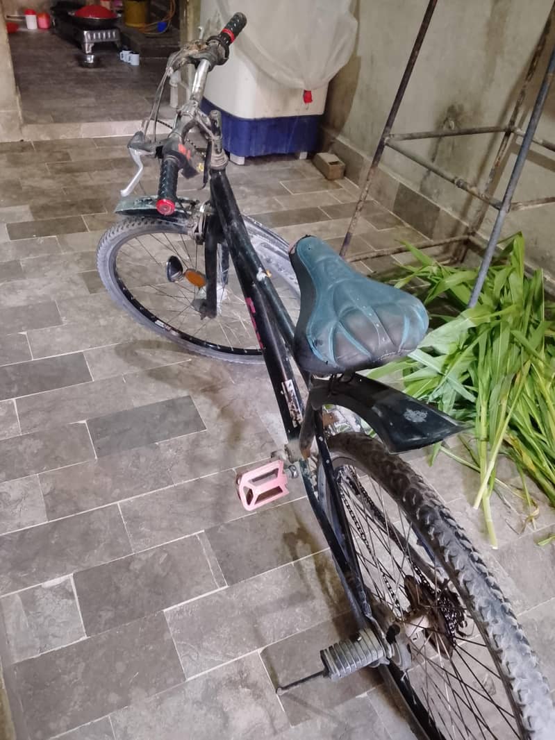 bicycle 2