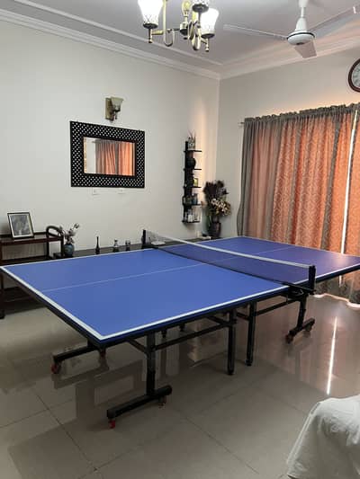 Table tennis table by apollo sports