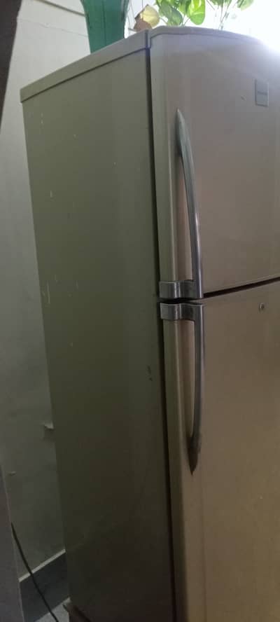 Toshiba fridge
