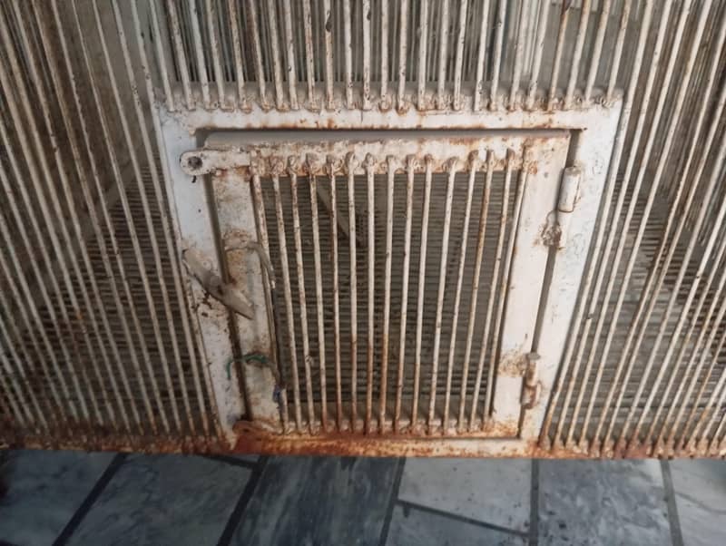 large size cage 2