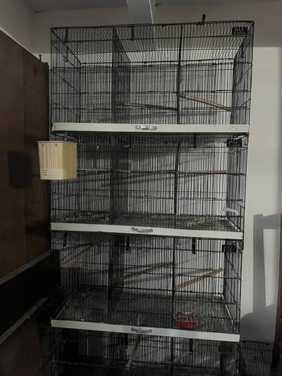 Ali & Zarar cage available ( 2 cages ) | Urgent sale | 14000 / cage