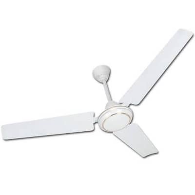 Duo Fans