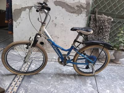 Japani cycle