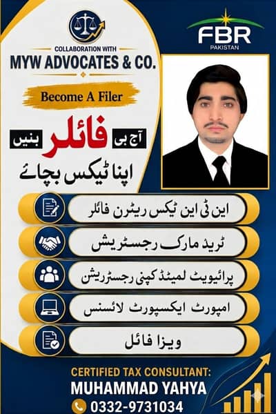 Lawyer and Tax Consultant