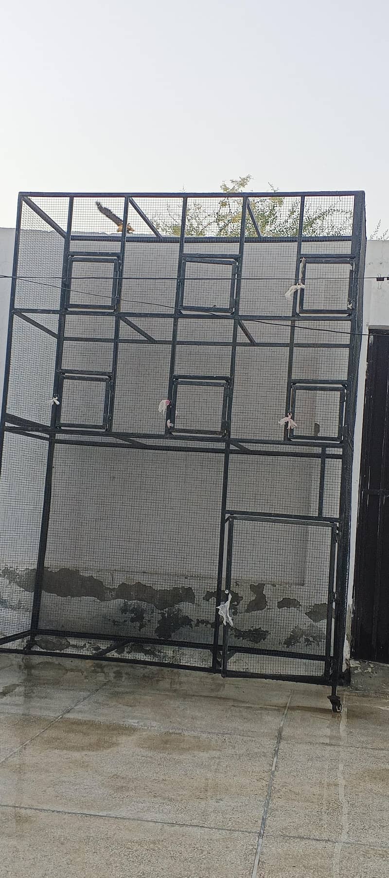 Cage available 0